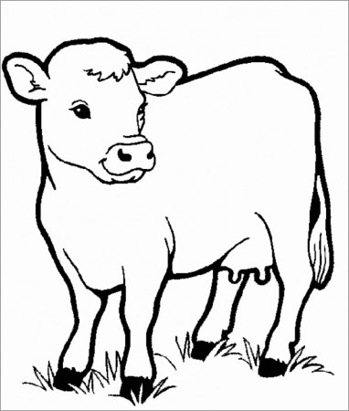 Baby Cow Coloring Page - ColoringBay