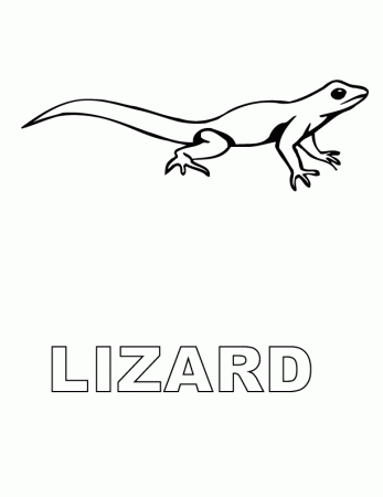 Real Like Lizard Coloring Pages