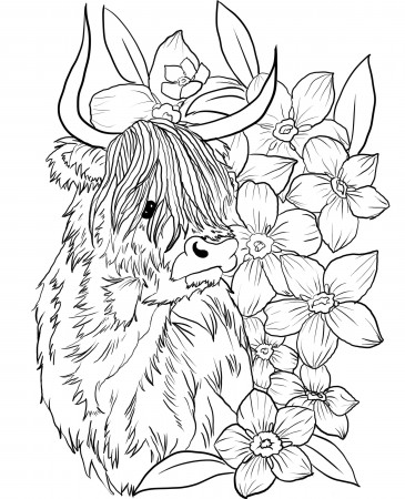 Cow Coloring Page - Etsy
