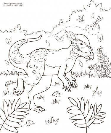 Pachycephalosaurus coloring page | Behance