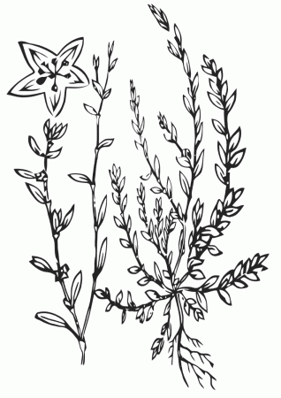 Linen coloring pages | Coloring pages to download and print