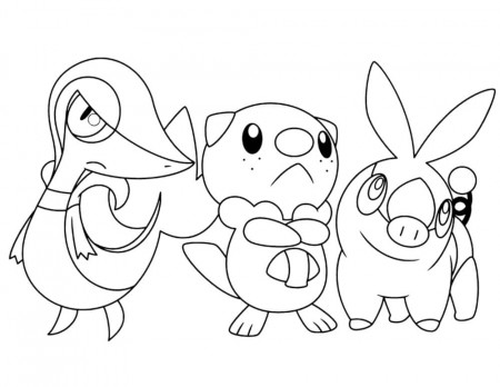 Tepig, Oshawott and Snivy Pokemon Coloring Page - Free Printable Coloring  Pages for Kids