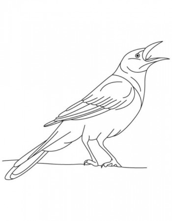 Crow Clipart For Kids