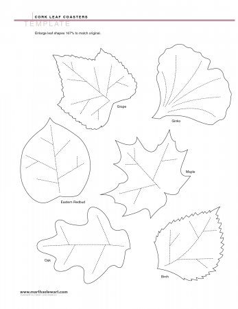 Best Photos of Fall Leaf Templates Printable - Free Fall Leaf ...