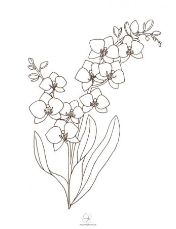 47 Best Flower Coloring Sheets For Free - Artsy Pretty Plants