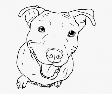 American Pit Bull Terrier Puppy Drawing Line Art - Coloring Pages Of  Pitbulls, HD Png Download - kindpng