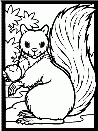 9 Pics of Fall Animal Coloring Pages Printable - Squirrel and ...