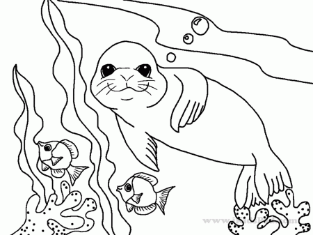 Sea Animal 2 Free Ocean Coloring Pages - VoteForVerde.com