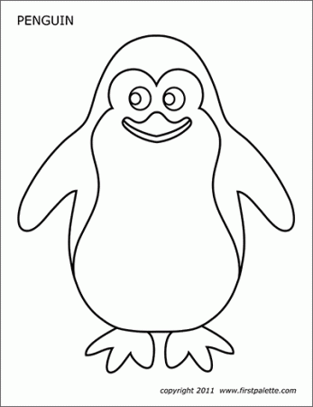 Toucan | Free Printable Templates & Coloring Pages | FirstPalette.com