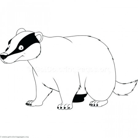 The best free Badger coloring page images. Download from 135 free ...