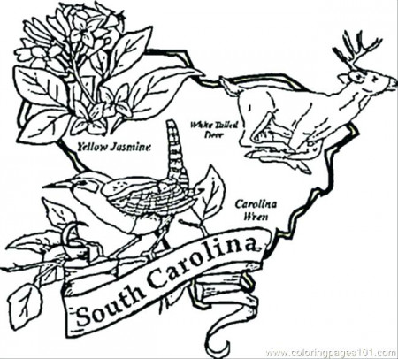 North Carolina State Symbols Coloring Pages at GetDrawings | Free ...