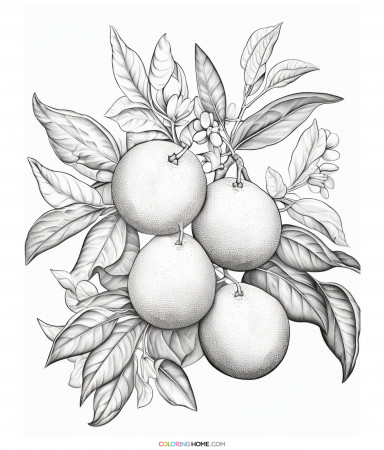 tangerine coloring page