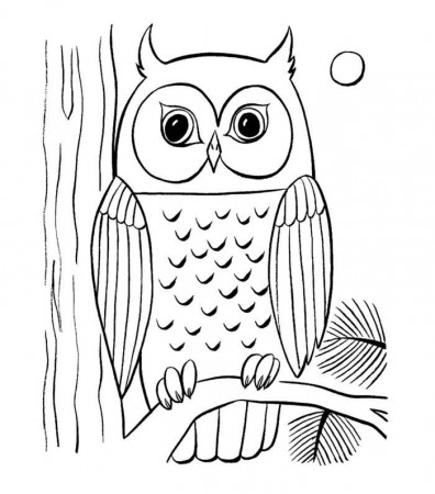 73+ Animal Colouring Pages Free Download & Print! | Free & Premium Templates