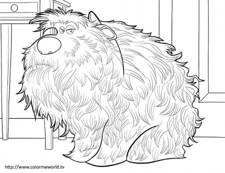 The Secret Life Of Pets Coloring Page — Craft Kiddies | Secret life of  pets, Coloring pages, Coloring pages for kids