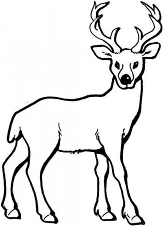 cartoon stag pictures - Google Search | Deer coloring pages, Animal coloring  pages, Coloring pictures