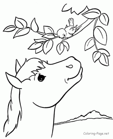 Neopets – Faerieland Coloring Pages 8 | NeoPets | Pinterest ...