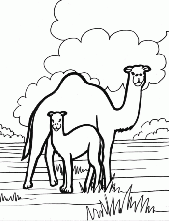 Camel coloring page - Animals Town - animals color sheet - Camel ...