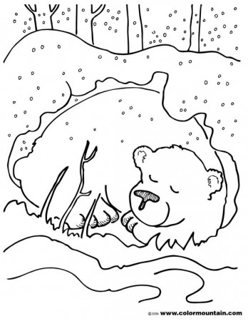 hibernating bear color sheet coloring page - Hibernation Coloring Sheet