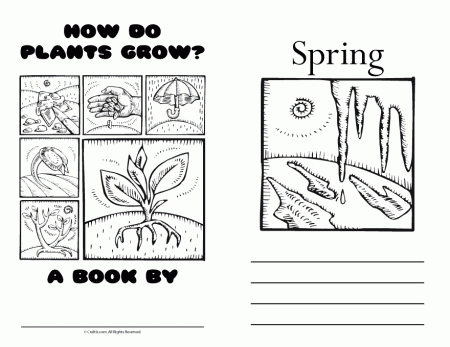 How Do Plants Grow? Plant Life Worksheets for Kids