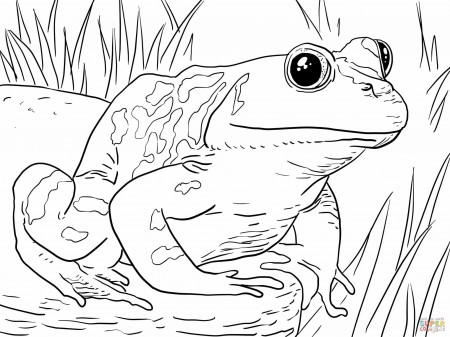 Coloring Page Frog Prince Coloring Pages Frog Coloring Pages Of ...