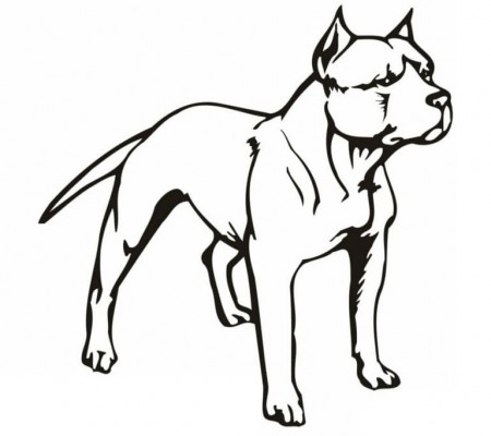 Pitbull Dog Coloring Page - Free Printable Coloring Pages for Kids