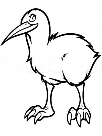 Kiwi coloring pages. Download and print Kiwi coloring pages