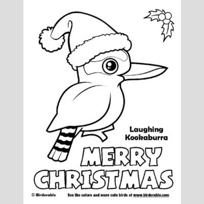Christmas Laughing Kookaburra Coloring Page < Fun Free Downloads & Activity  Pages :: Birdorable