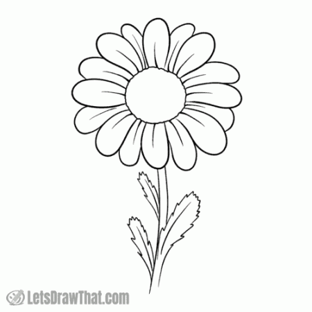 How to Draw a Daisy From Easy Simple Shapes
