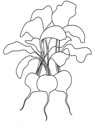 Vegetables Radish Coloring Page | Line art, Coloring pages, Line artwork