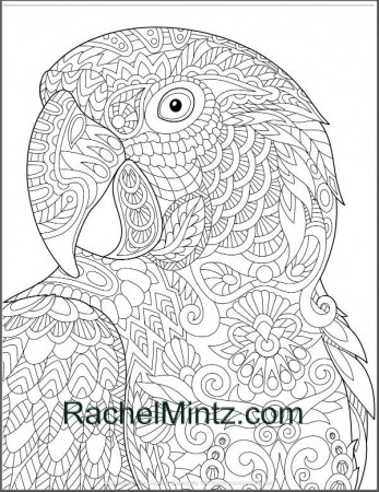 Colorful Parrots Coloring Page – Rachel Mintz Coloring Books
