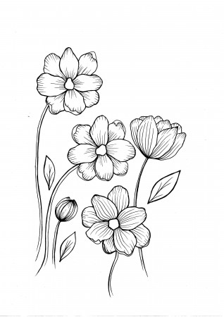 Wild Flowers PDF Coloring Page - Etsy