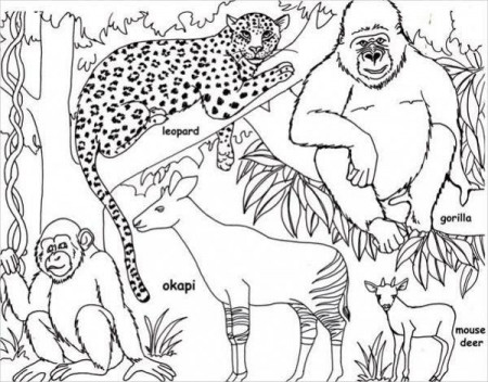 8+ Jungle Coloring Pages - PDF, PNG