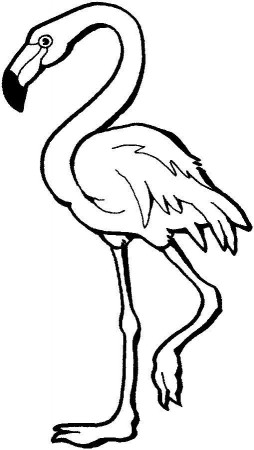 This coloring page for kids features a flamingo standing on one ...