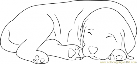 It's Bed Time Coloring Page for Kids - Free Dog Printable Coloring Pages  Online for Kids - ColoringPages101.com | Coloring Pages for Kids