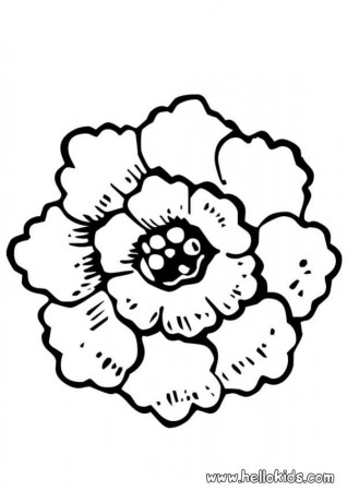 Peony coloring pages - Hellokids.com