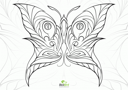Butterfly free adult coloring pages animals