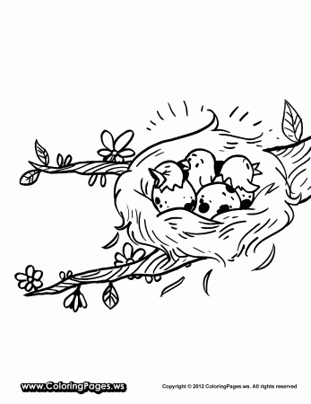 Birds Nest Coloring Pages Printable - Coloring Pages For All Ages