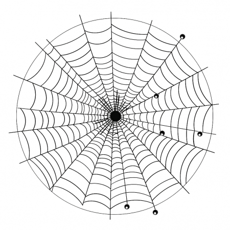 Spider web coloring pages – Coloring corner