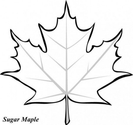 Leaf Printable Coloring Pages