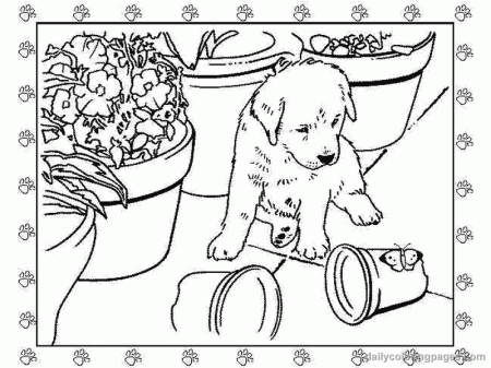 Free Golden Retriever Puppies Coloring Pages, Download Free Golden Retriever  Puppies Coloring Pages png images, Free ClipArts on Clipart Library