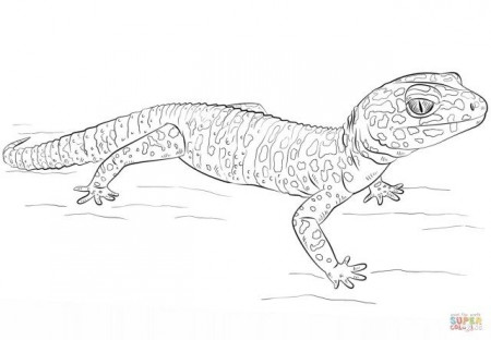 27+ Brilliant Image of Gecko Coloring Page - albanysinsanity.com | Leopard  gecko, Gecko, Cute gecko