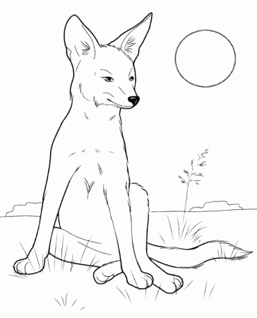 Fox coloring page animal - Topcoloringpages.net