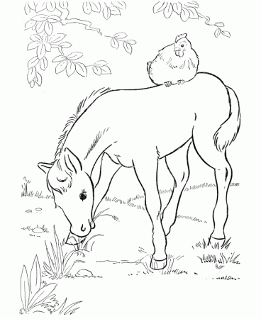 Horse Coloring Pages | Printable Foal eating grass Coloring Page 