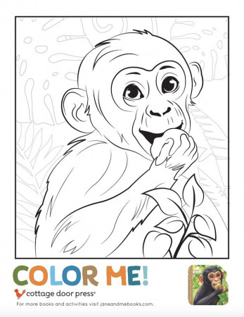 Free printable: Jane Goodall Chimpanzee Coloring Page from Jane & Me  Chimpanzee book. | Free coloring sheets, Coloring sheets, Free coloring