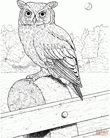 Great Horned Owl coloring page | Free Printable Coloring Pages