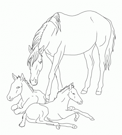 Horse And Foal Coloring Pages Realistic Sketch Coloring Page