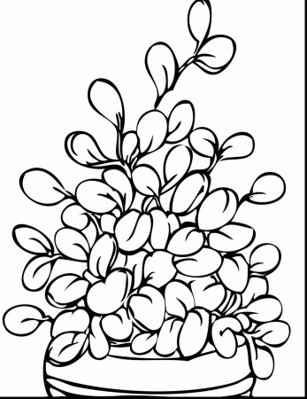 great flower coloring pages with plant coloring pages ...
