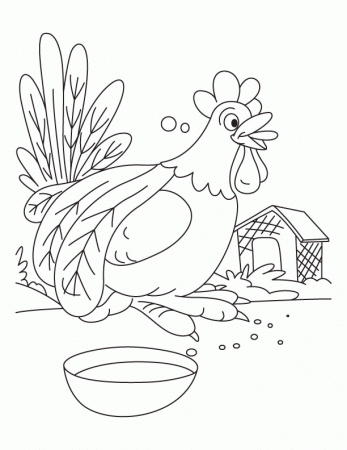 Do not disturb, Rooster having food coloring pages | Download Free 