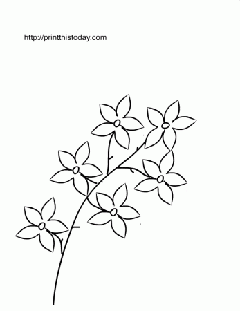 Free Printable Spring Flowers Coloring Pages | Print This Today