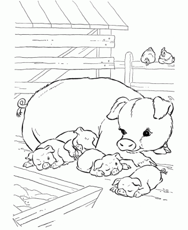 wild pig Colouring Pages (page 3)
